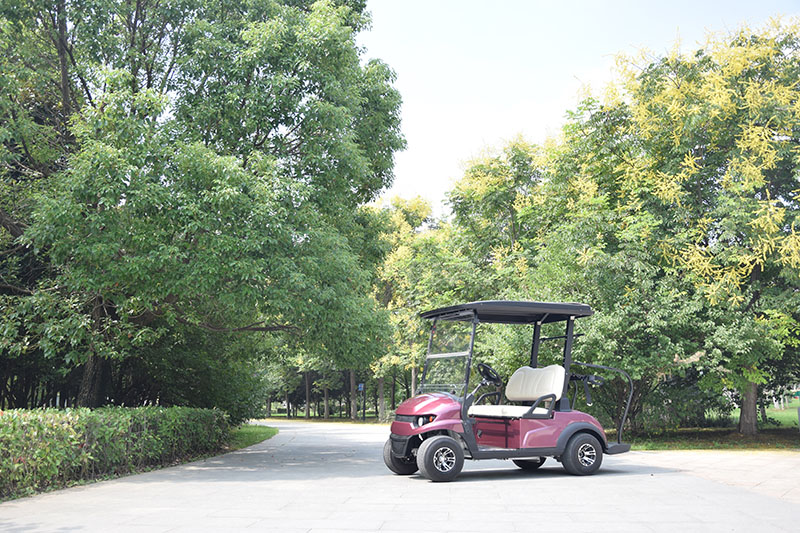 SPG Lory Cart 2 מושבים Solar Golf2