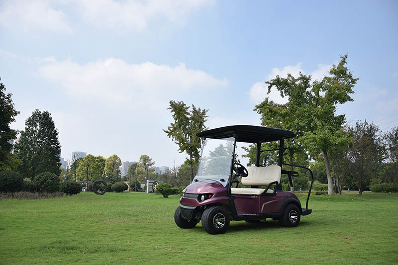 SPG Lory Cart 2 орундуу Solar Golf3