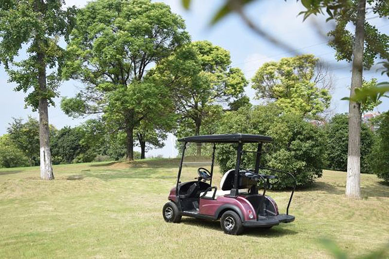 SPG Lory Cart 2-Sitzer Solar Golf5