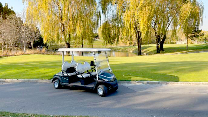 SPG Lory Cart 4 seat Solar Golf Cart8